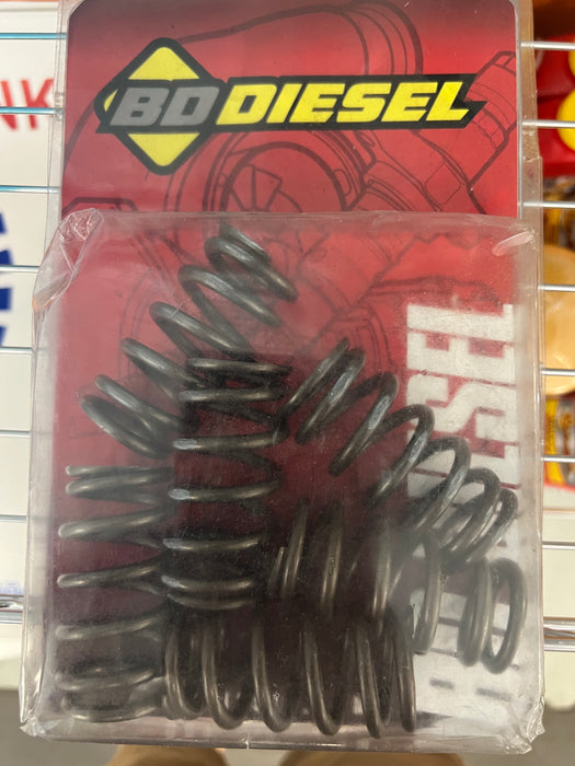 Bd 12v exhaust spring kit